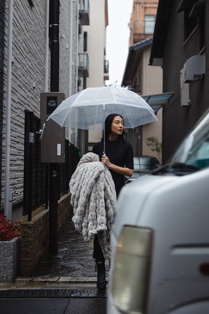 Rainy Day