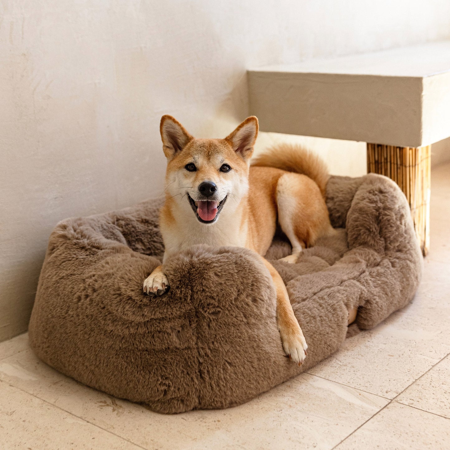 The Lola Pet Bed