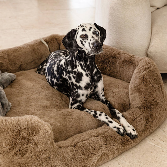 The Lola Pet Bed