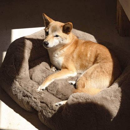 The Lola Pet Bed